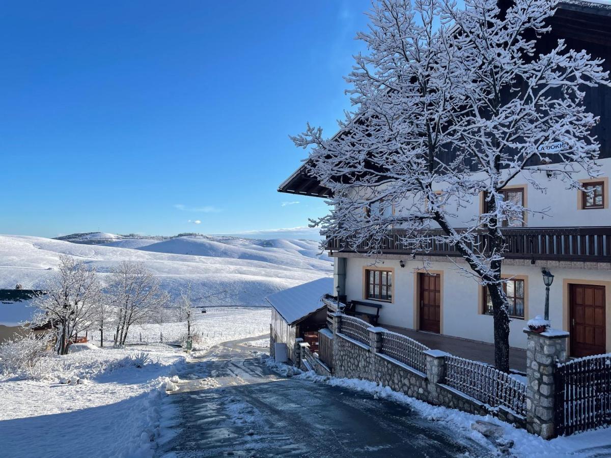 Guest House Vila Djokic Zlatibor Exterior photo
